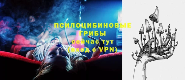 МДПВ Алексин