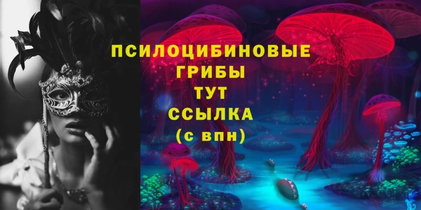 МДПВ Алексин